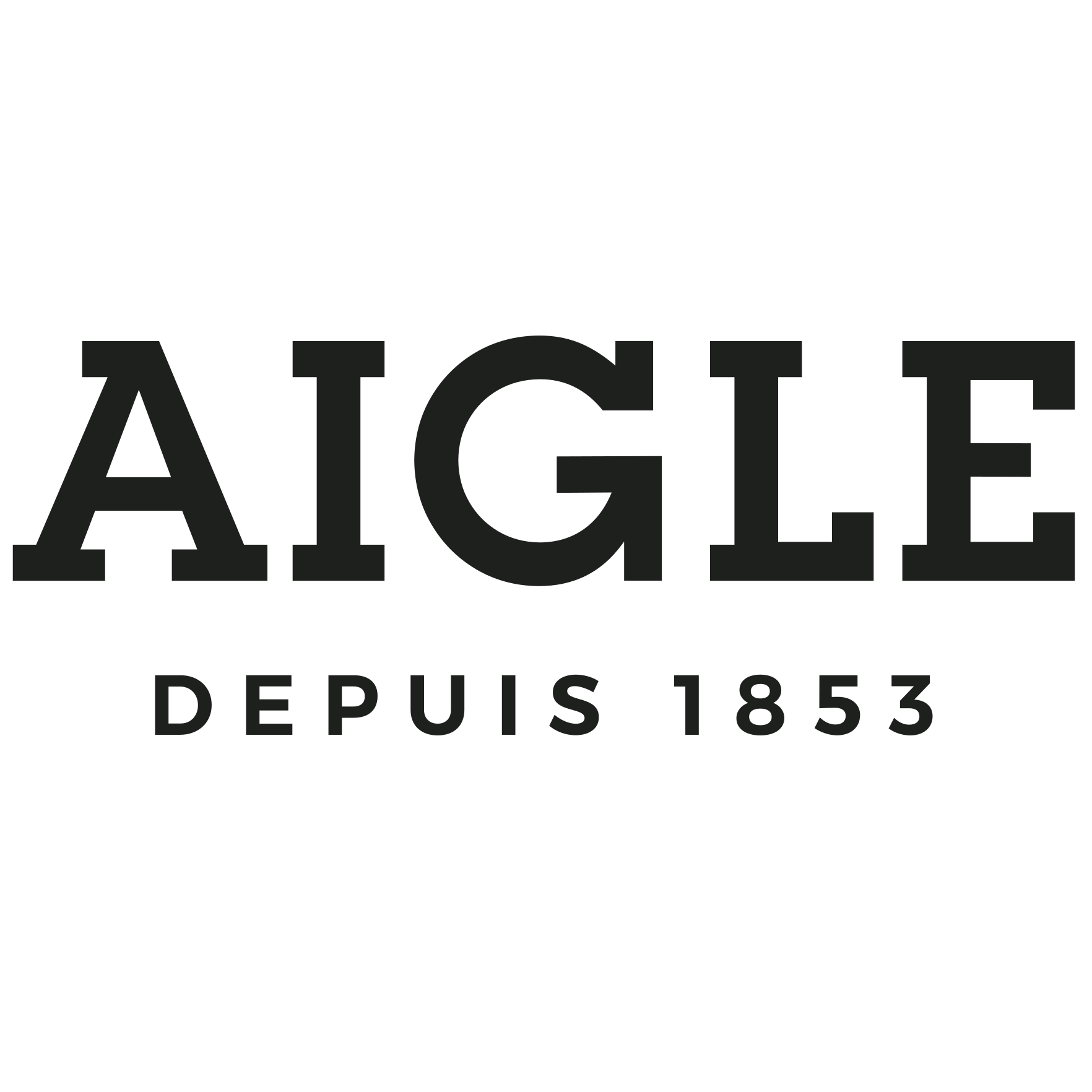 Logo AIGLE INTERNATIONAL