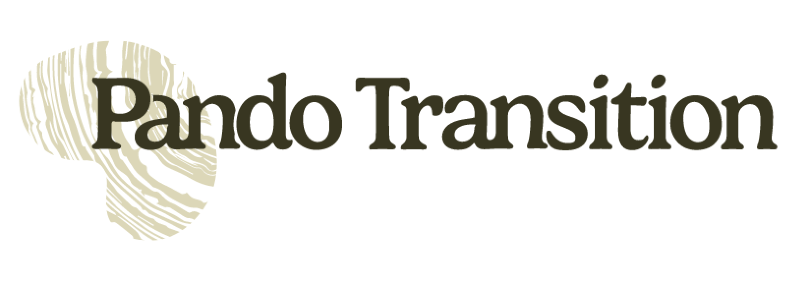 Logo PANDO TRANSITION