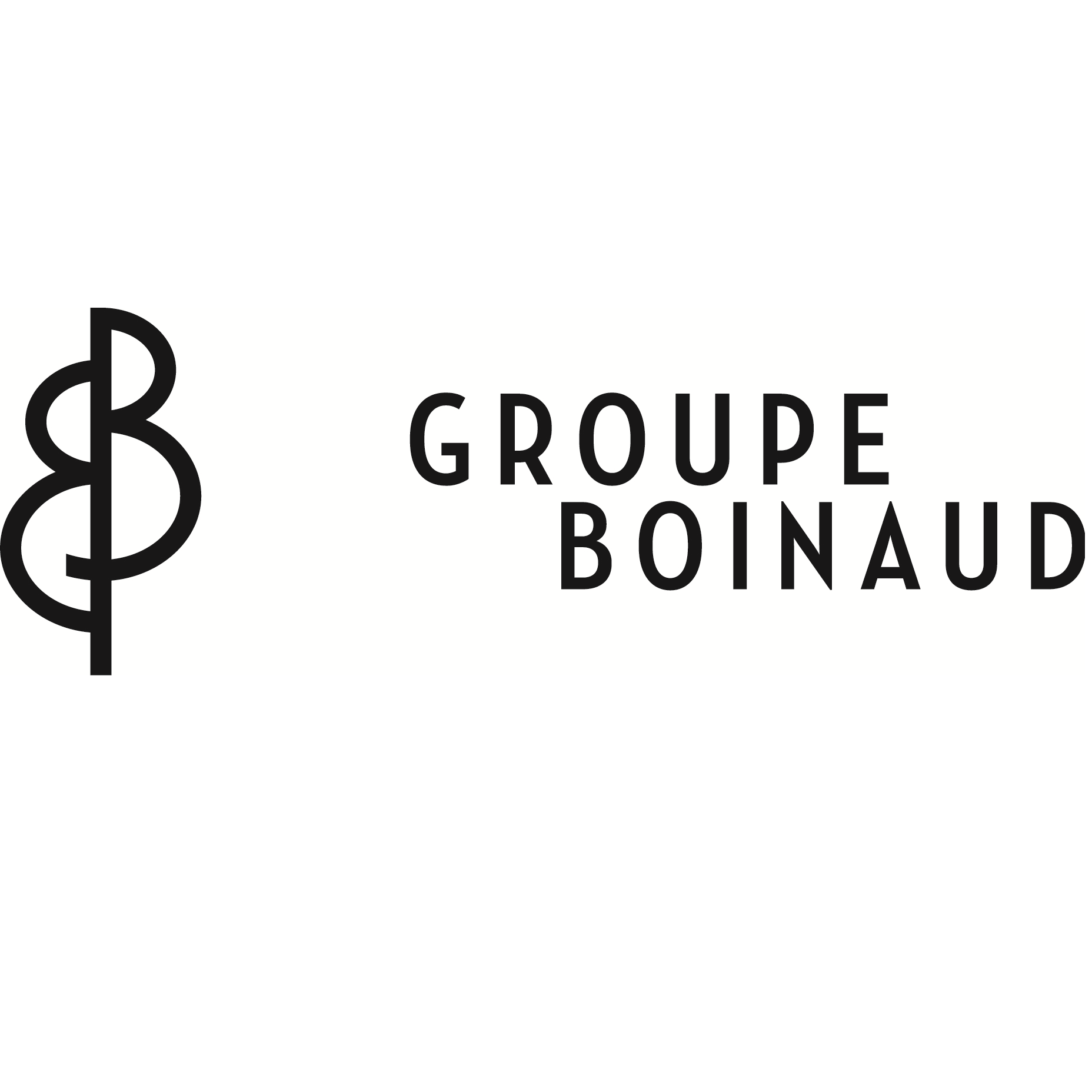 Logo MAISON BOINAUD