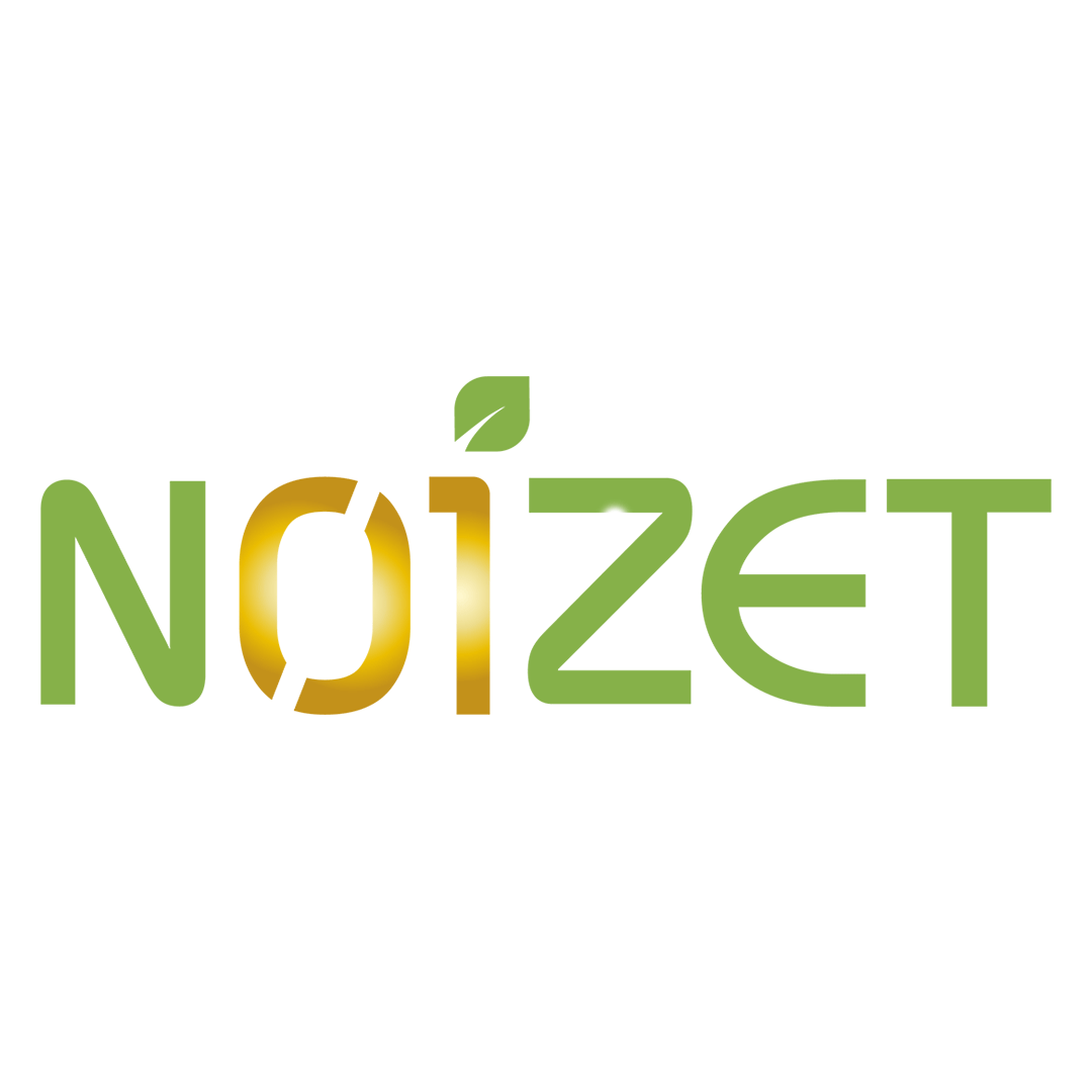 Logo N01ZET