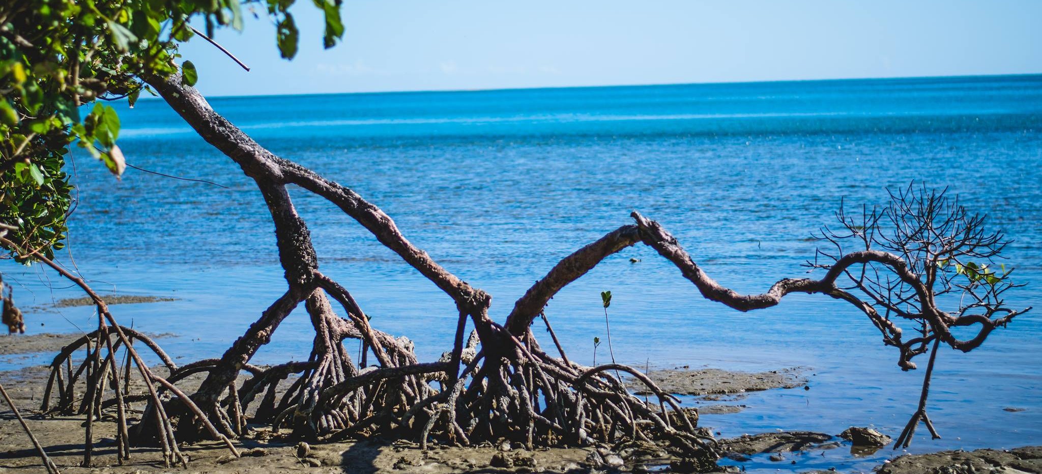 Un petit coin de Paradis au bord de l&rsquo;eau. Je recommande !