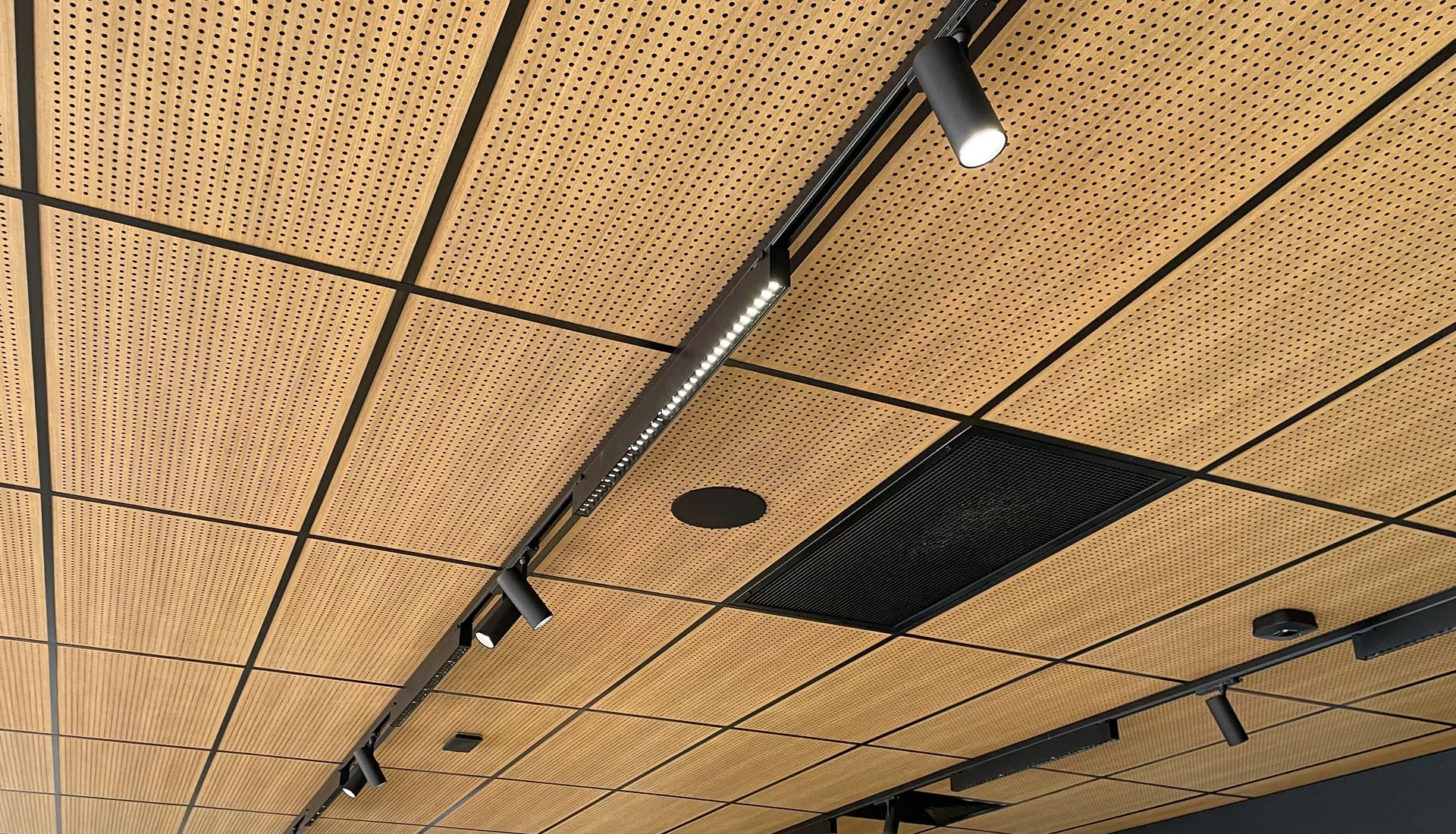 Acoustic Ceiling Panel installed view