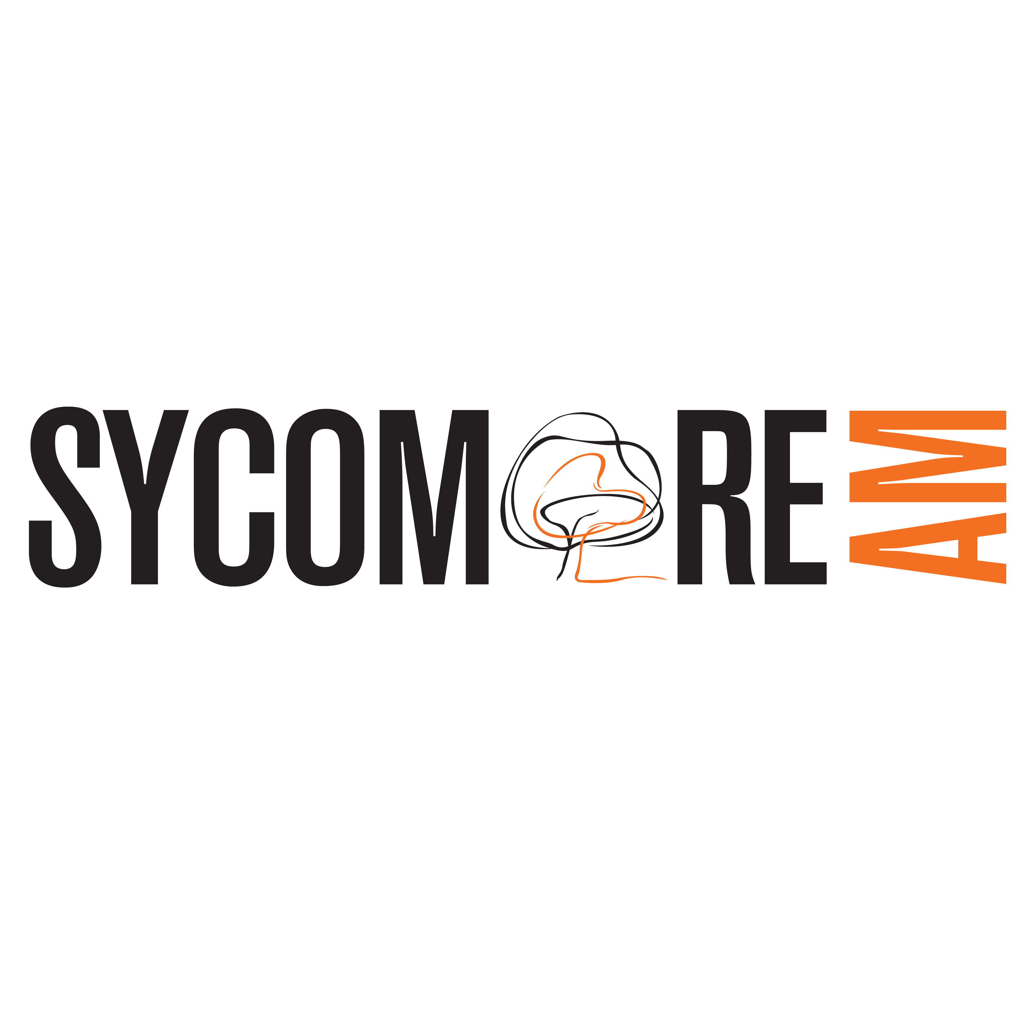 Logo SYCOMORE ASSET MANAGEMENT
