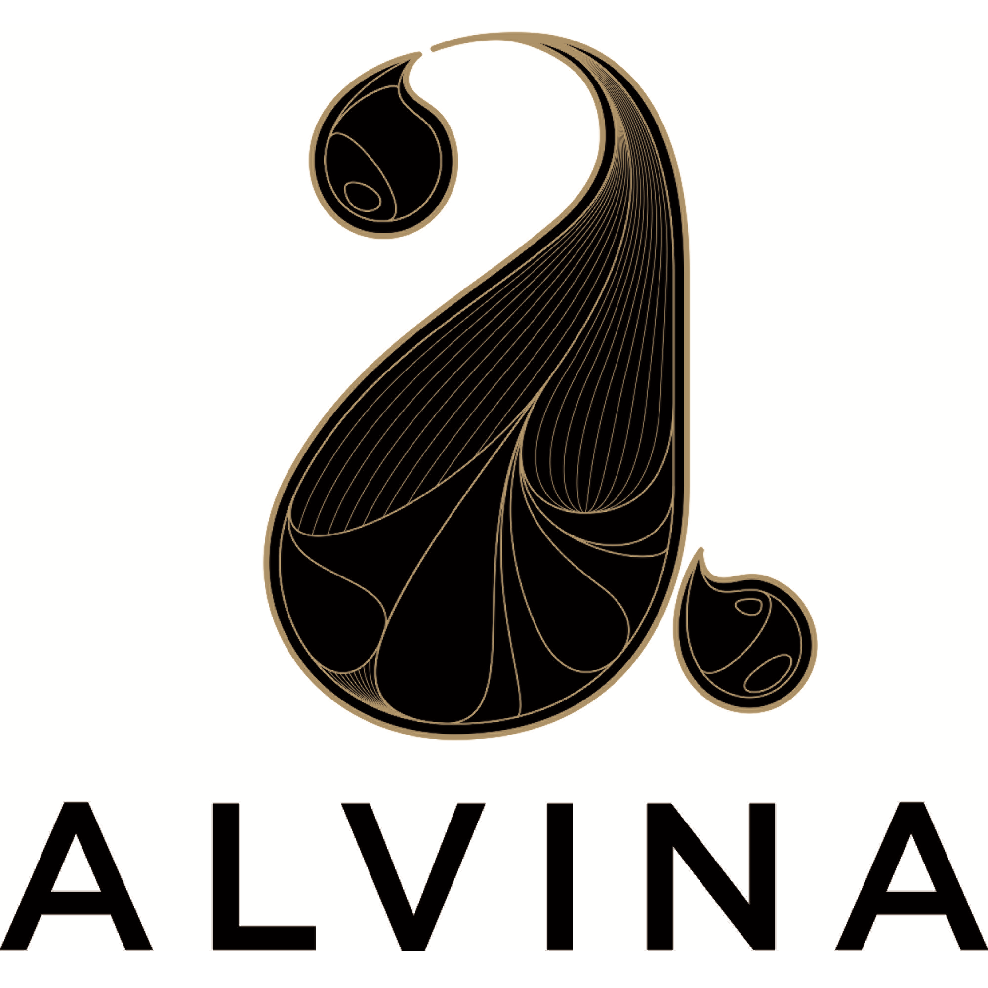 Logo SOCIETE D'EXPLOITATION DES EAUX ALVINA (S2EA)