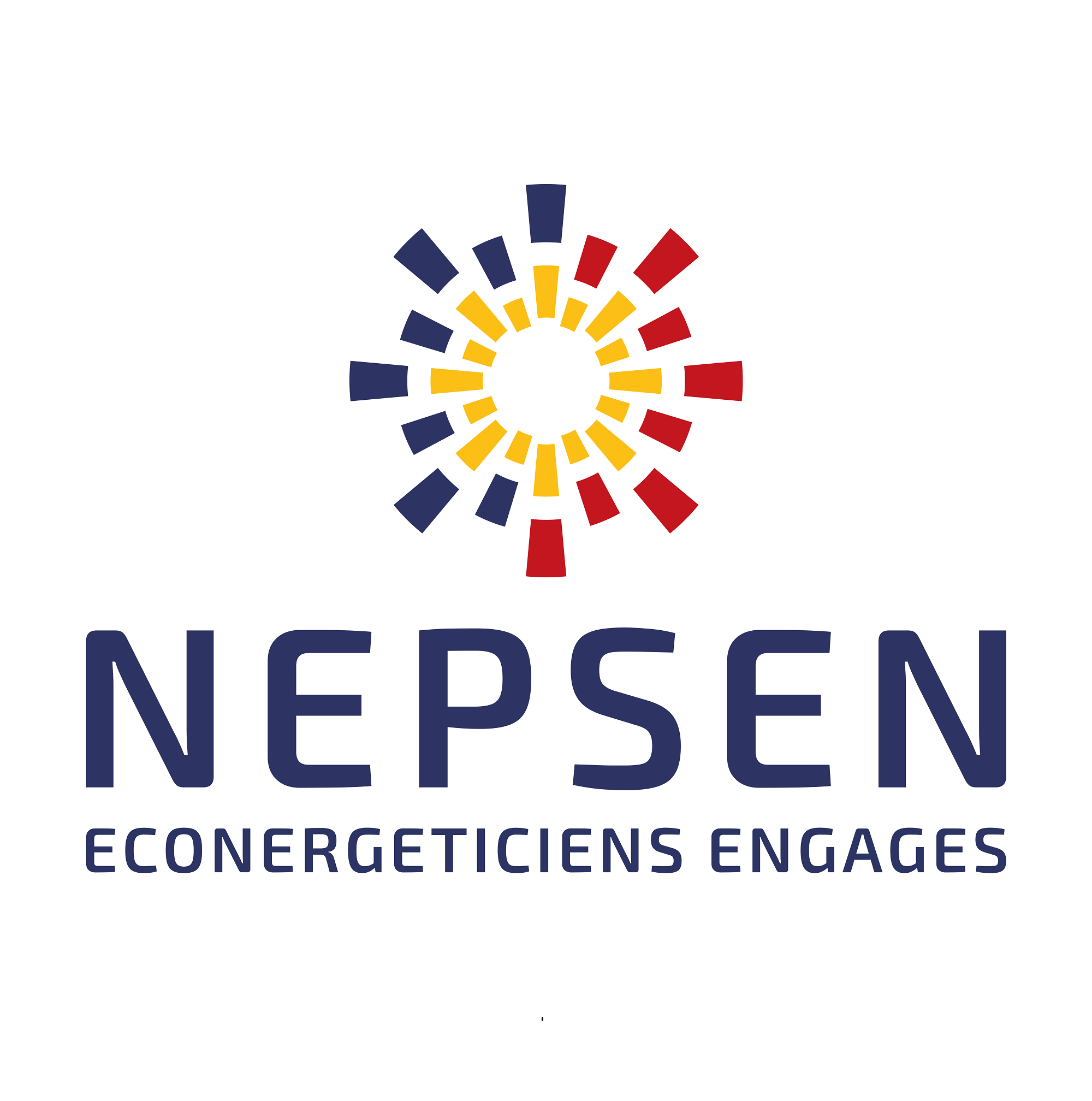 Logo NEPSEN