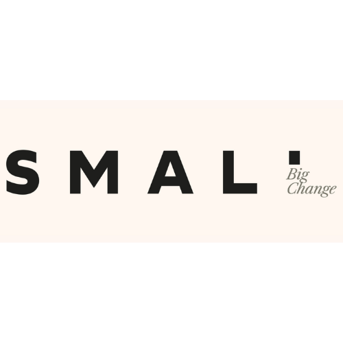 Logo SMALL-CONSEIL