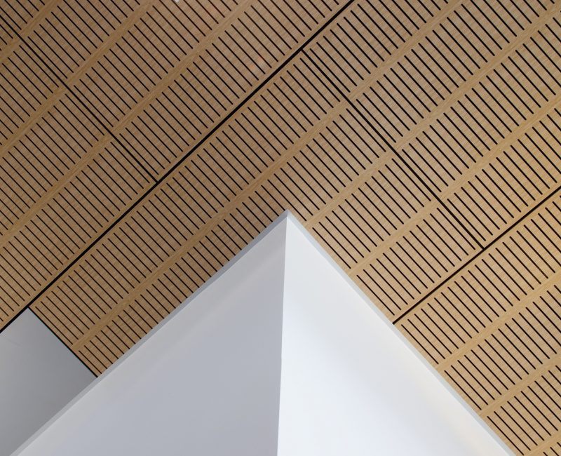 Acoustic Ceiling Panel product surface