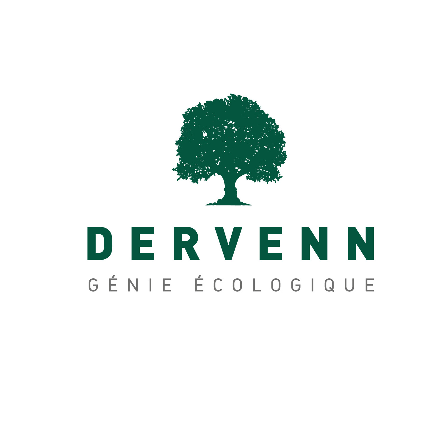 Logo EURL DERVENN