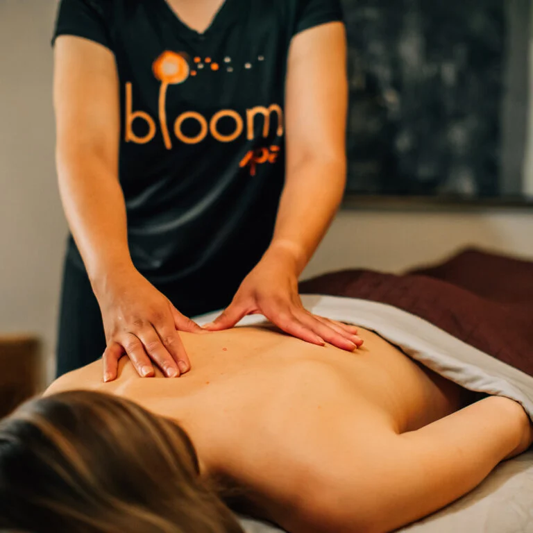 The Sebastian gallery 5