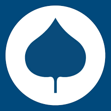 Scowcroft-Nye Fellowship