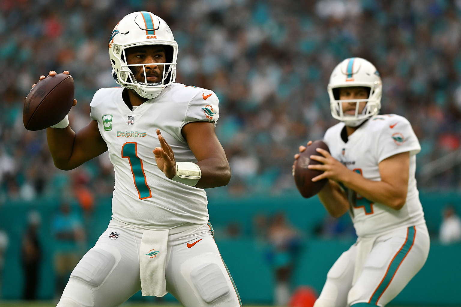 dolphins quarterbacks