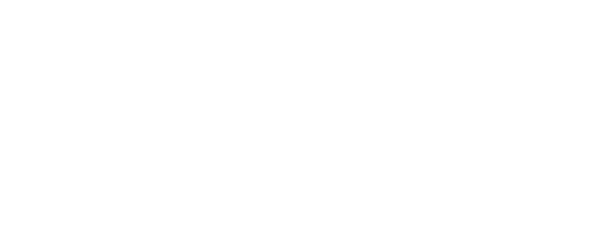 Naughty Pine Brewing Co logo