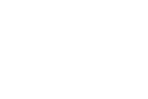 Dueces Wild Brewery logo