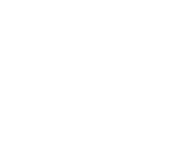 Mountain Toad Brewing logo