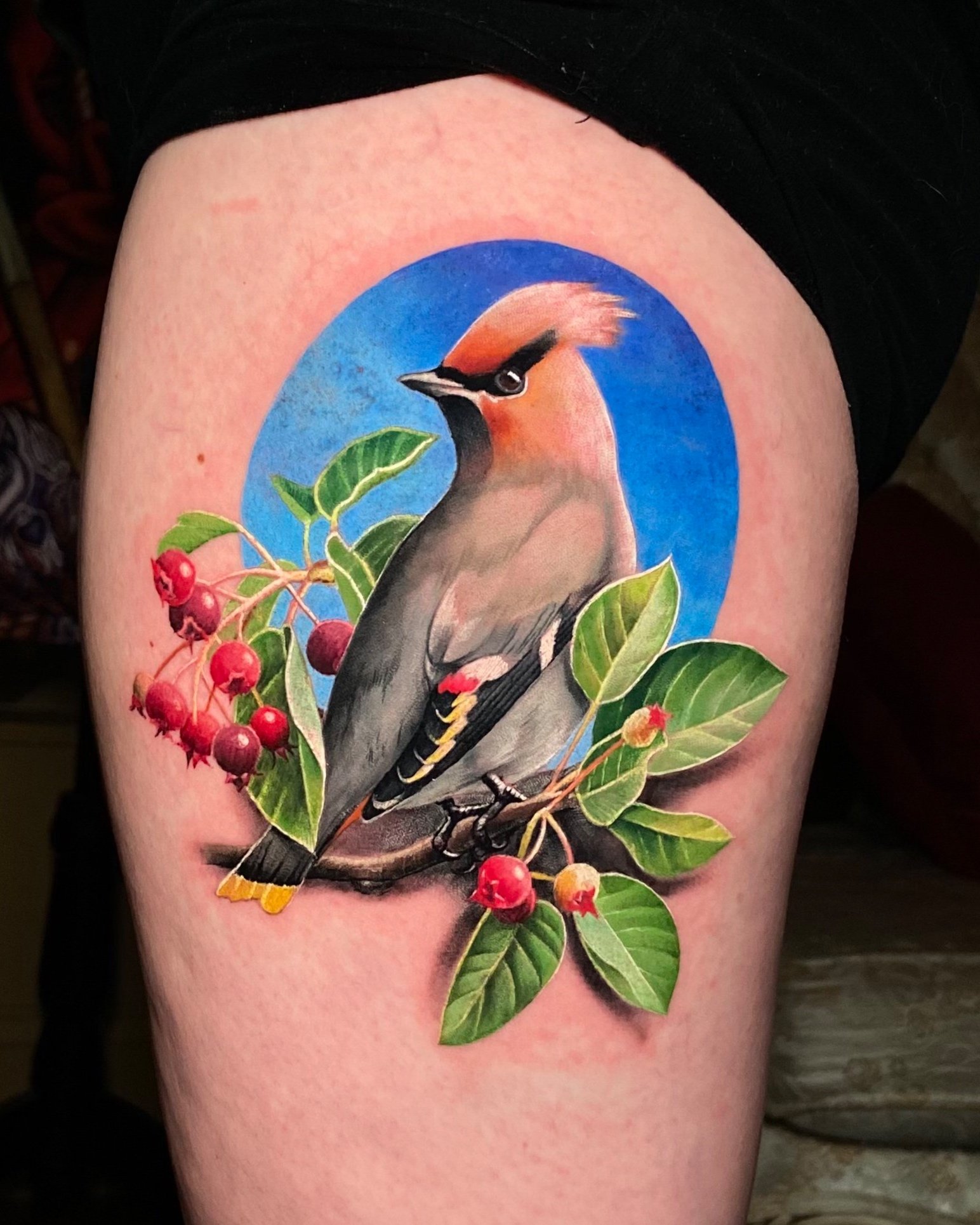 Bird and berry branch