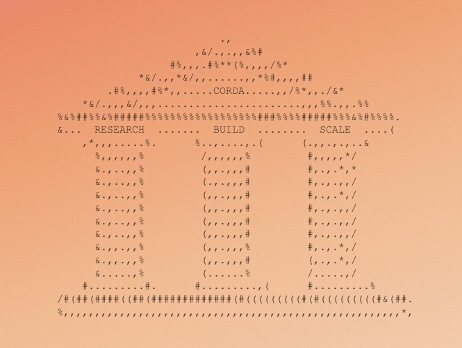 CORDA Democracy Fellowship