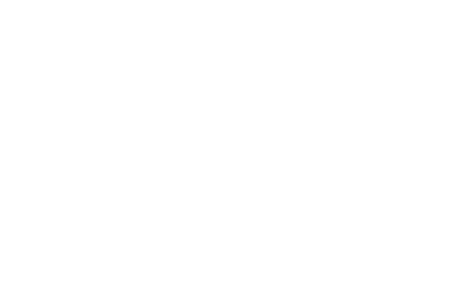 Von Ebert Brewing logo