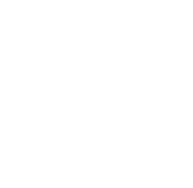Wooden Ship Brewing Company logo