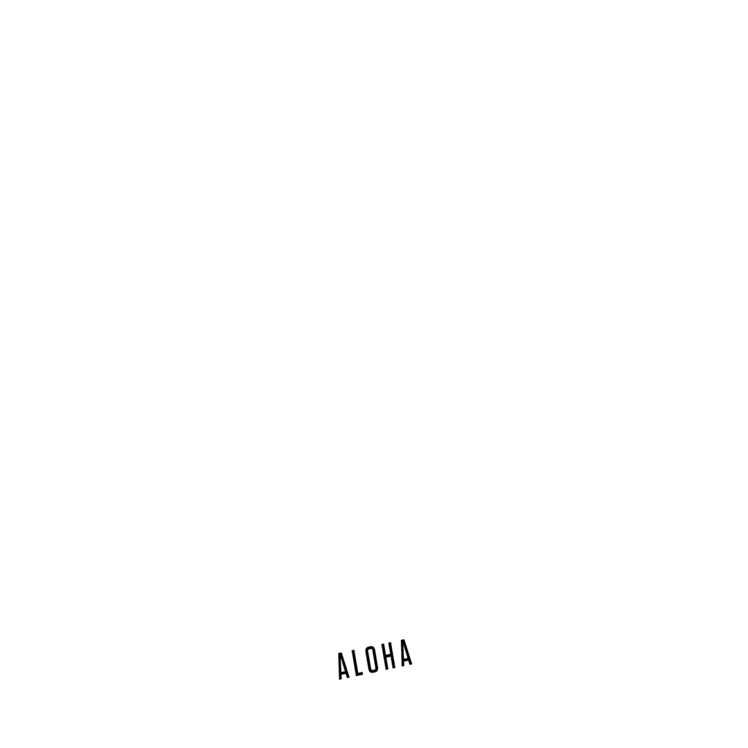 Kalapaki Joes Kauai logo