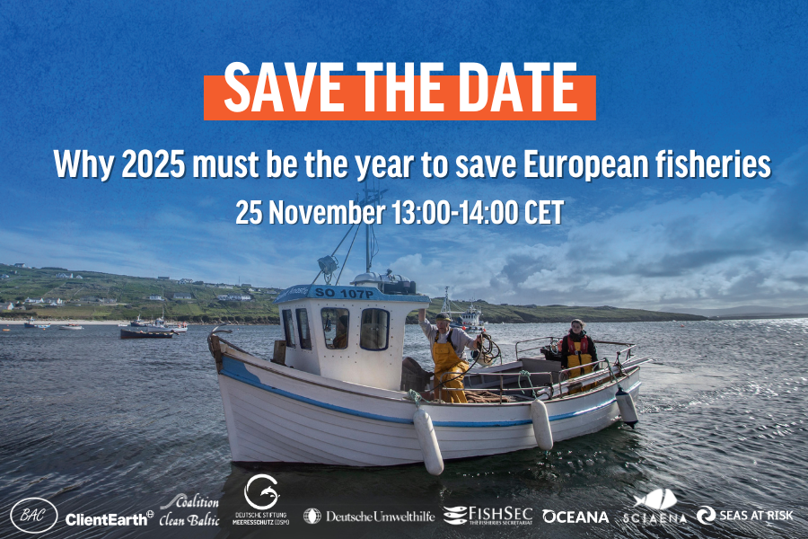 Online media briefing on the setting of European fishing opportunities for 2025
