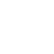 Native Son - LA logo