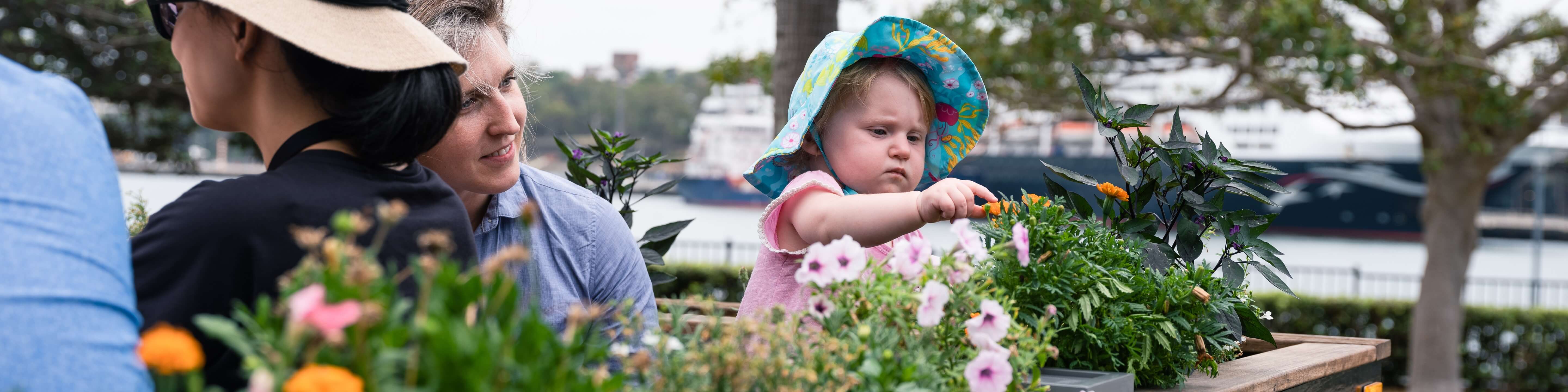 NSW Urban Placemaking POS SOP