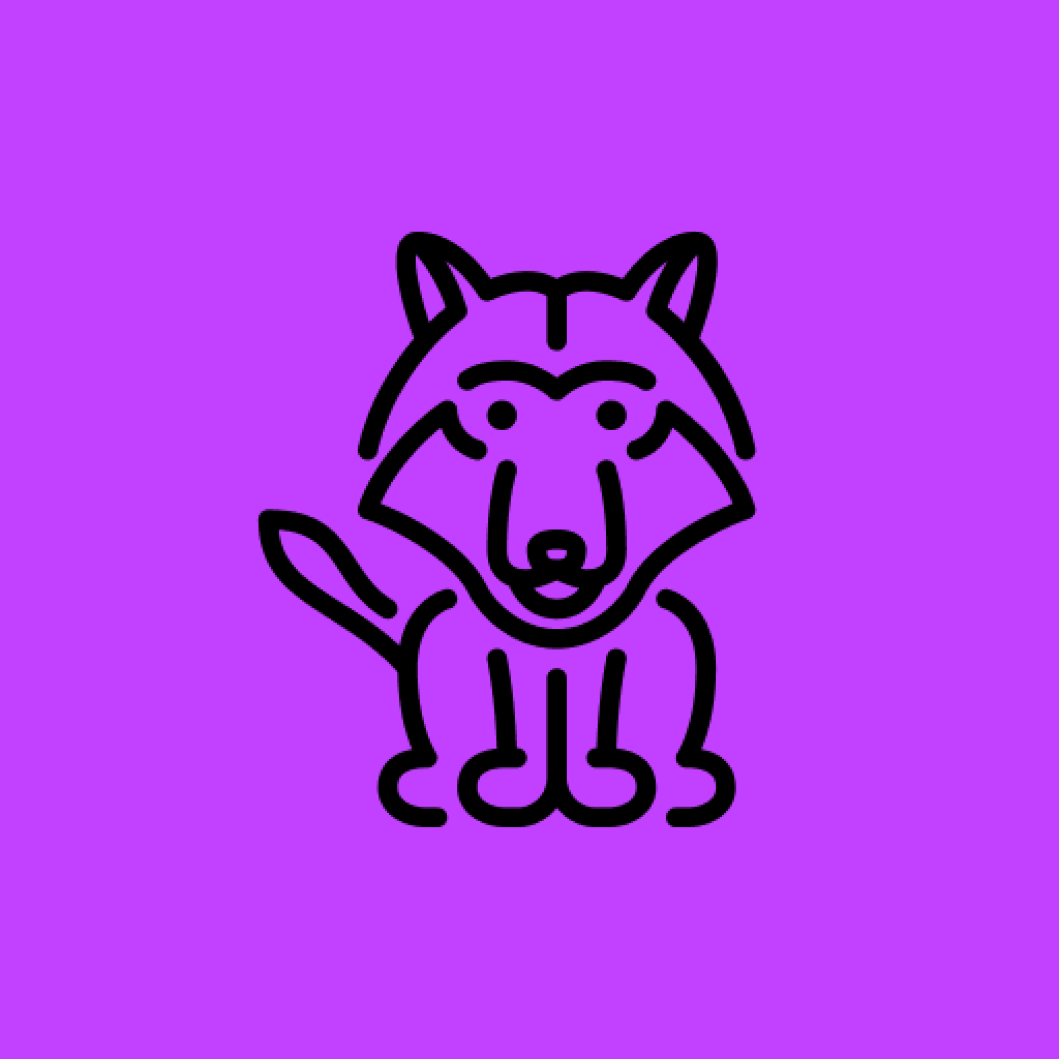 100 Animali: Be curious and ready to learn! 