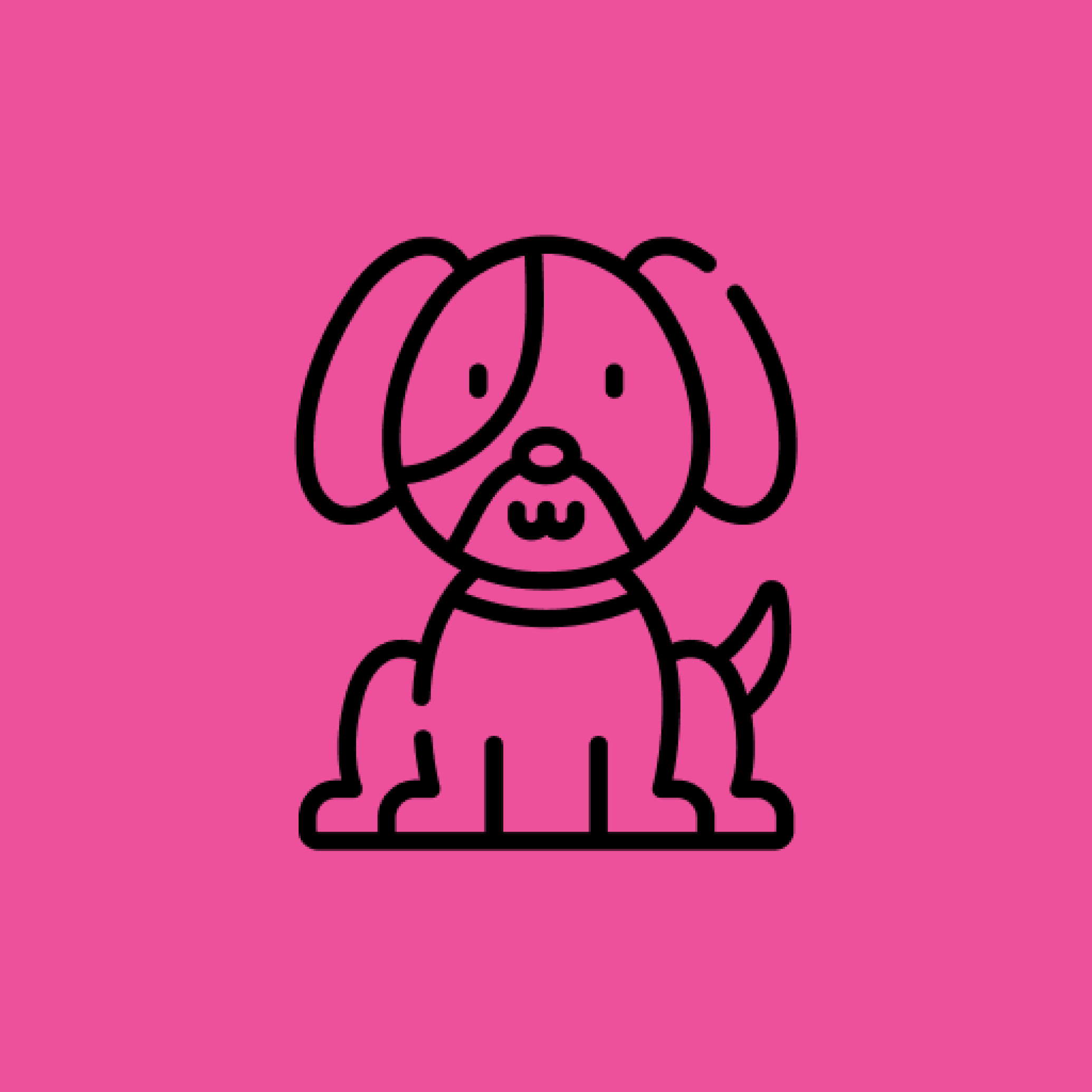 100 Animals: Be curious and ready to learn! 