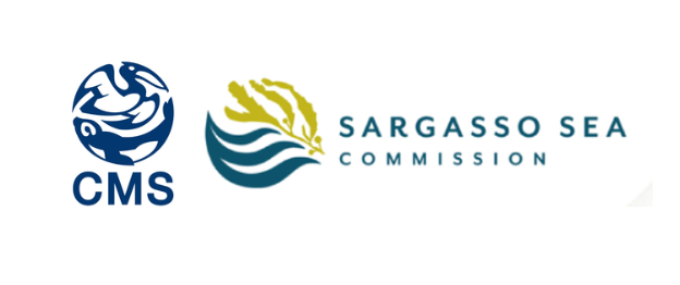 4th Meeting of Range States for the European Eel - Convention on the Conservation of Migratory Species of Wild Animals (CMS)