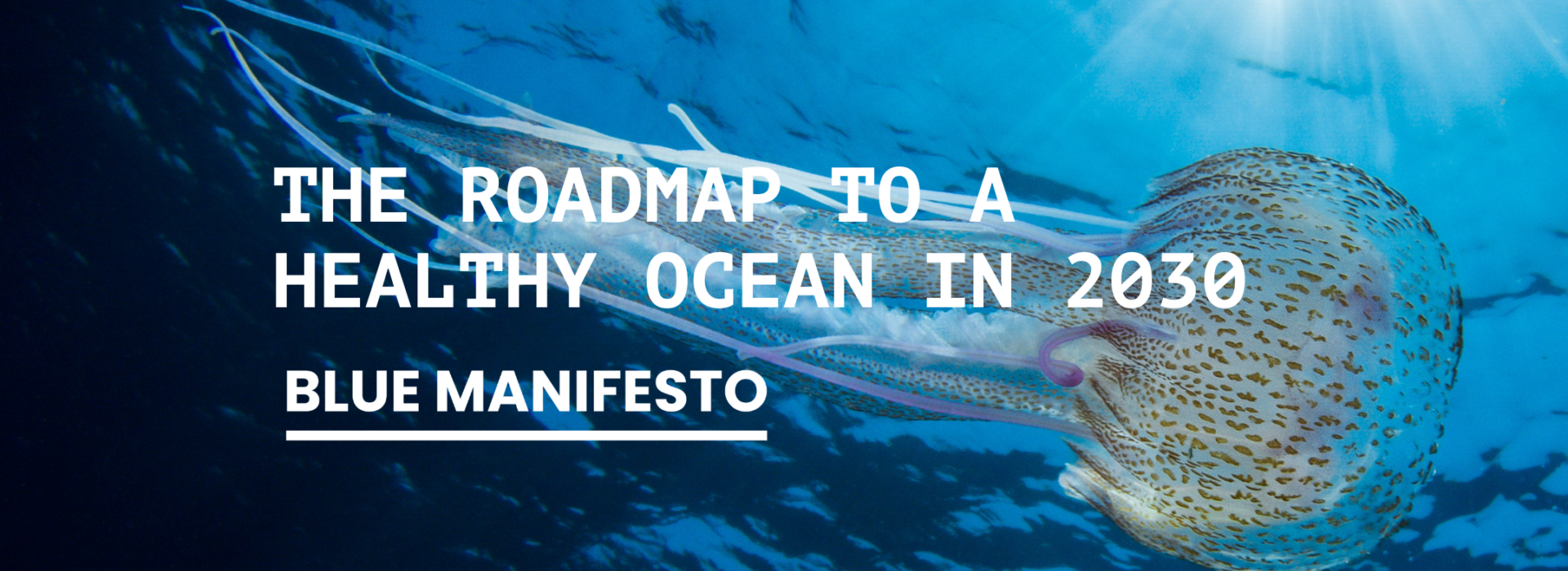 The Blue Manifesto - Launch event