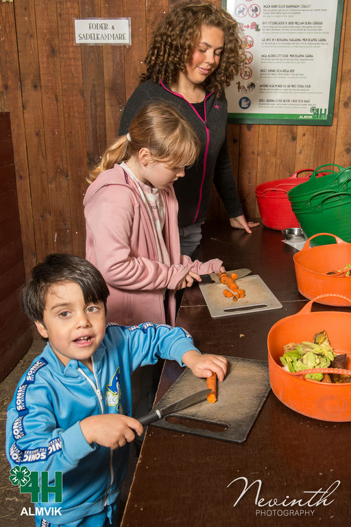 William gallery photo