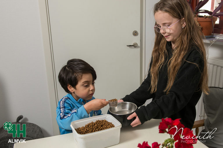 William gallery photo