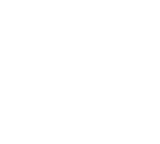 Batson River Brewing and Distilling - Biddeford logo