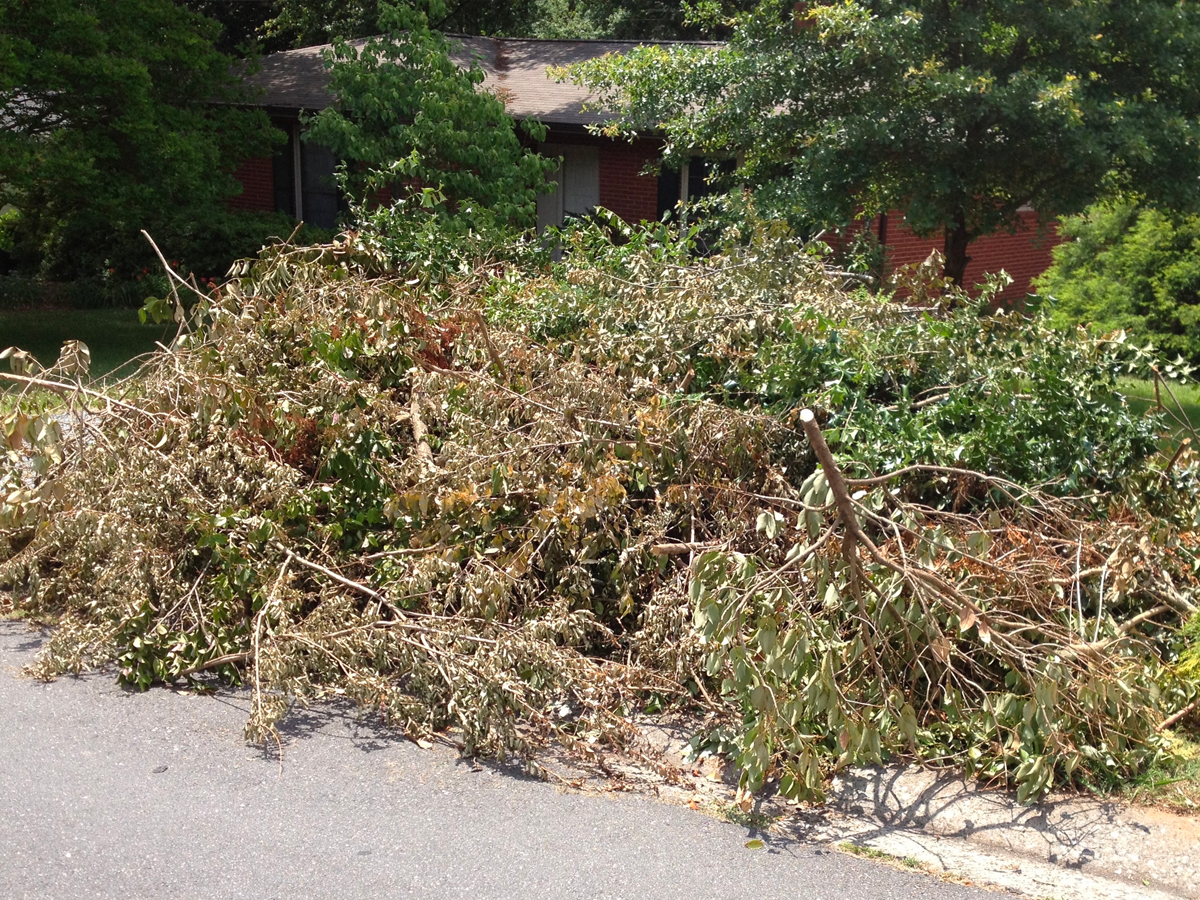 Yard Waste Removal