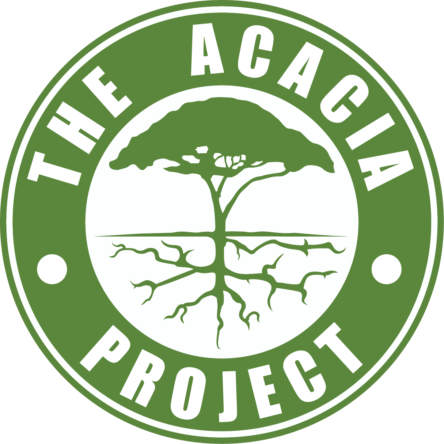 Israel, Jordan Study Tour with The Acacia Project