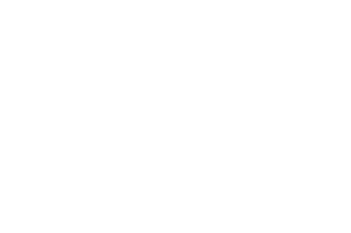 Evil Horse Brewing Company logo