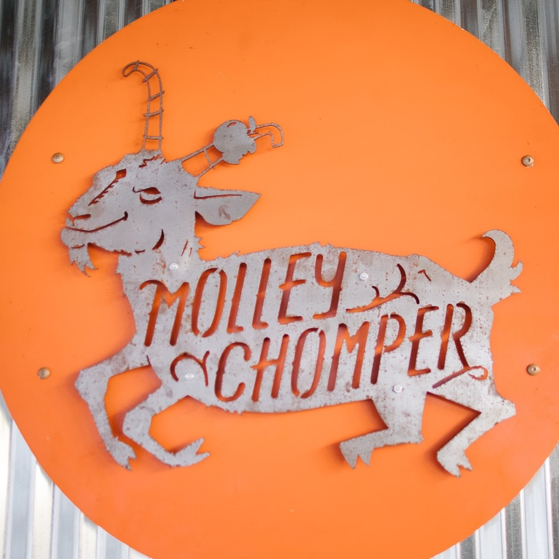 Molley Chomper Cider logo