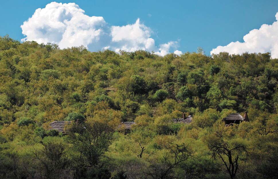 Madikwe-Safari-Lodge-2.jpg