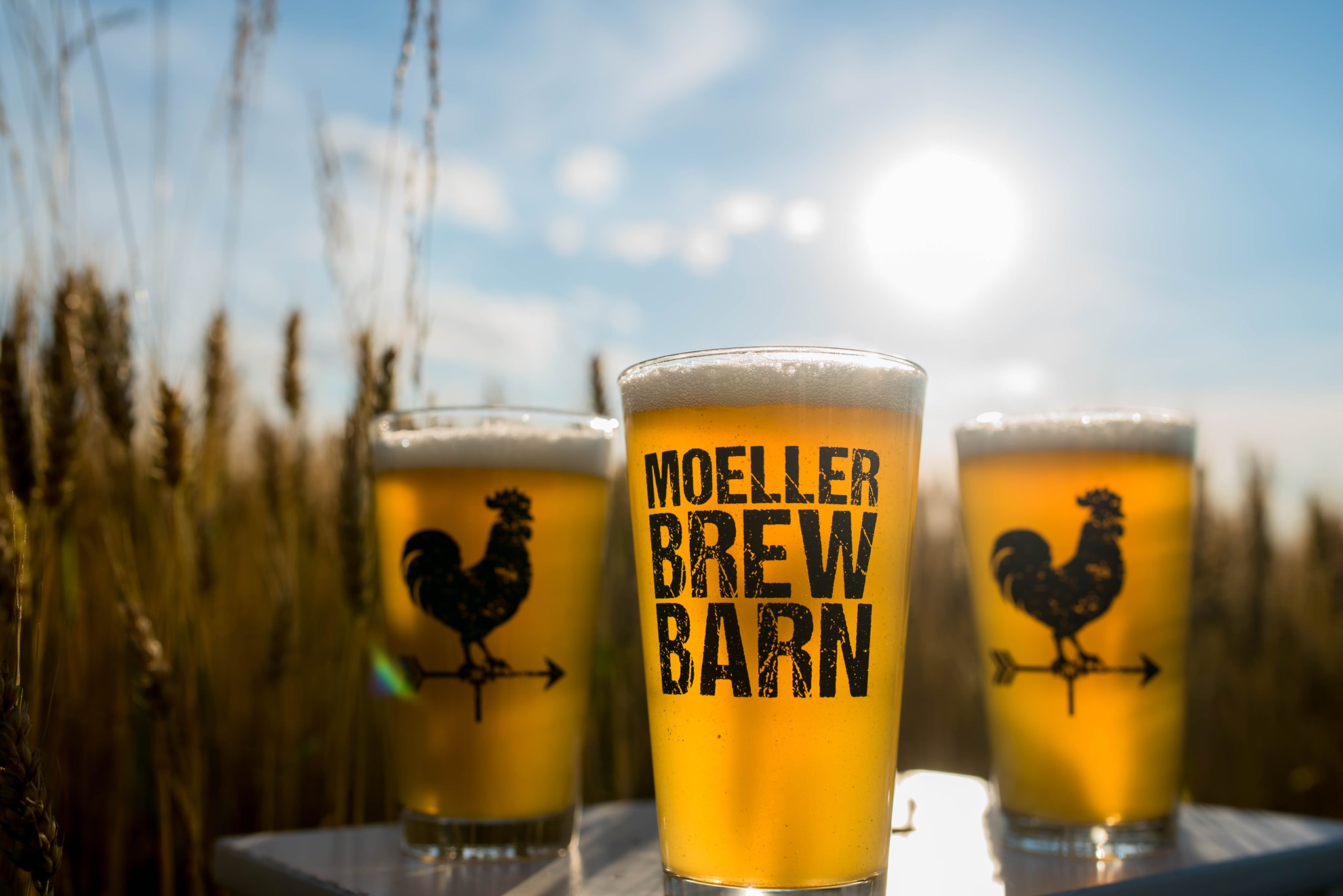 Moeller Brew Barn - Maria Stein logo