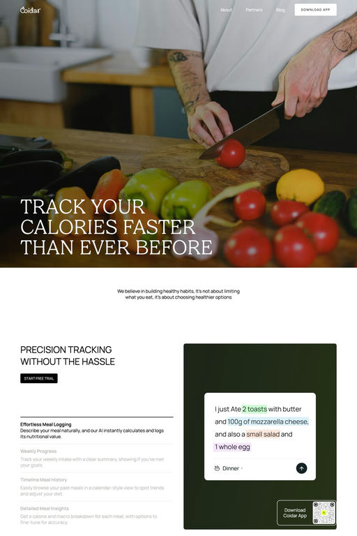 Coidar website screenshot