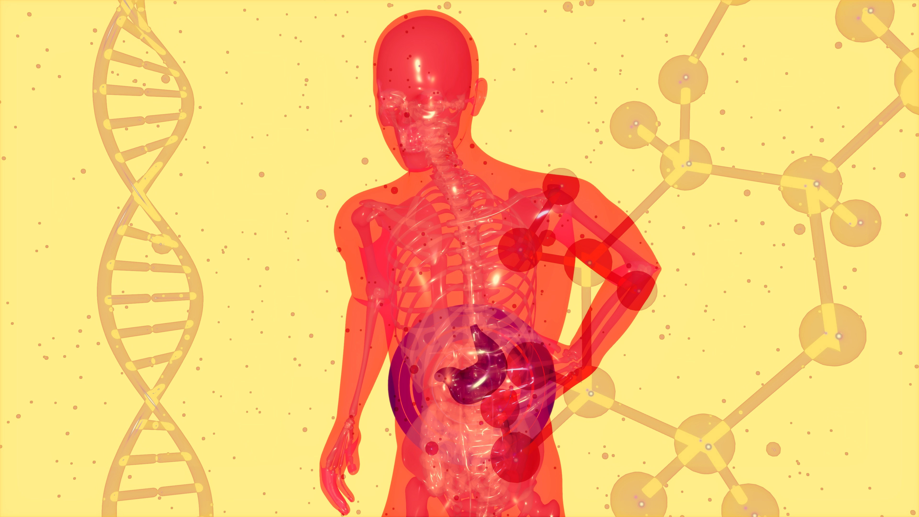 Pathology & Contraindications for Massage Therapists:  24 hours