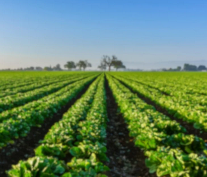 How deep does agriculture influence our waters?