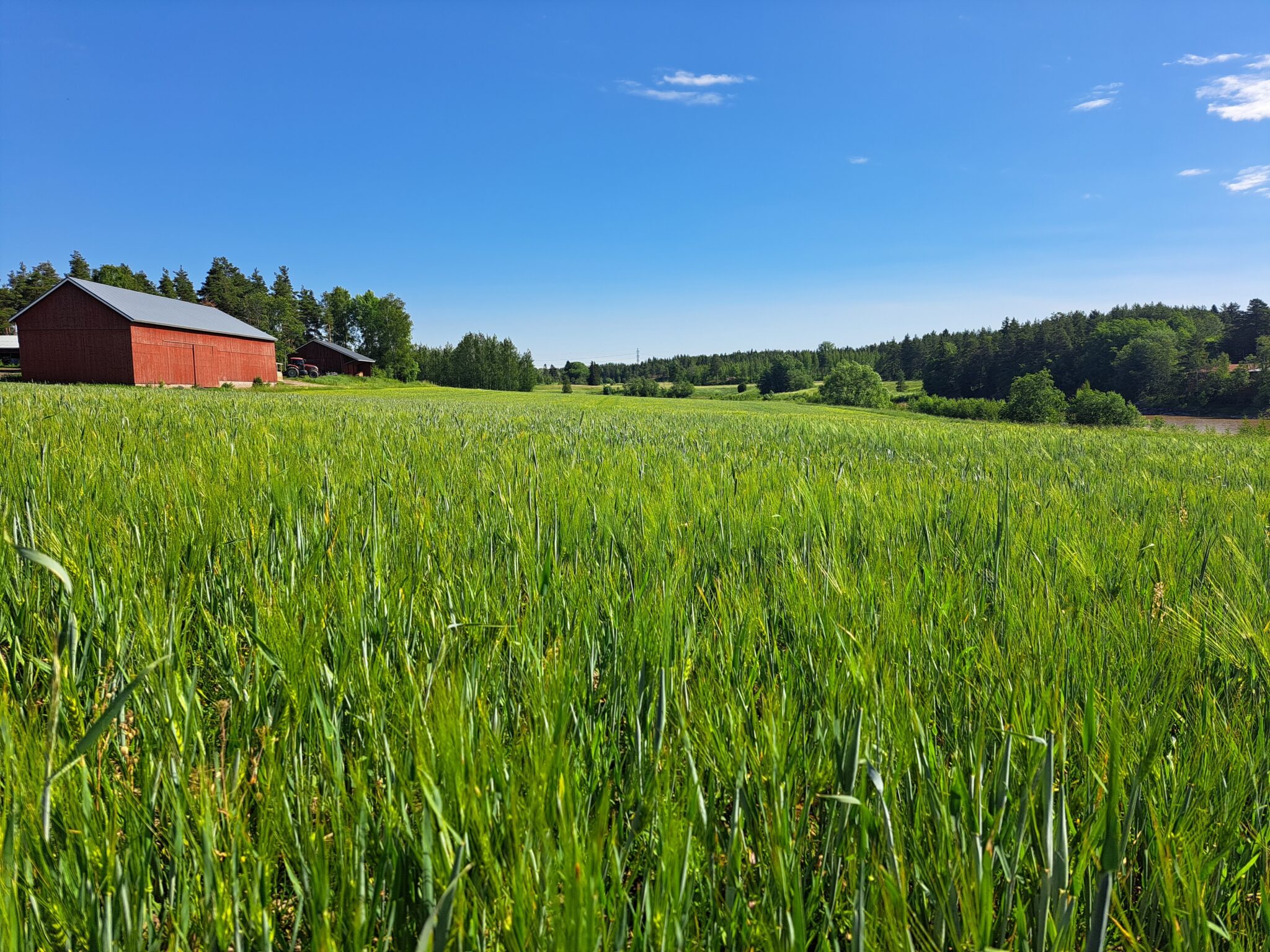 Unlocking Nutrient Recycling in the Baltic Sea Region