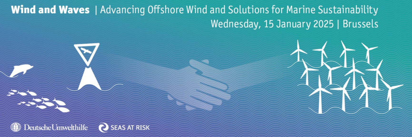Wind and Waves: Advancing Offshore Wind and Solutions for Marine Sustainability