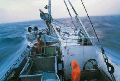 Possibilities for Baltic Sea Fisheries