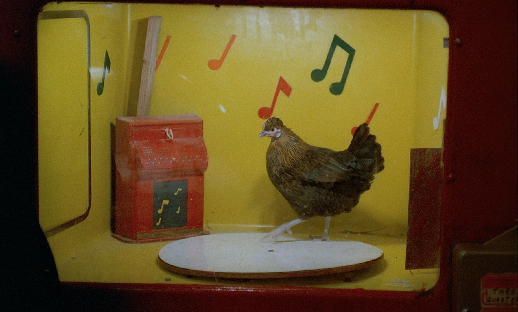 The Illegal Immigrant