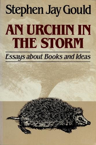 Book cover for An Urchin in the Storm