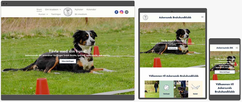 Askersunds Brukshundsklubb