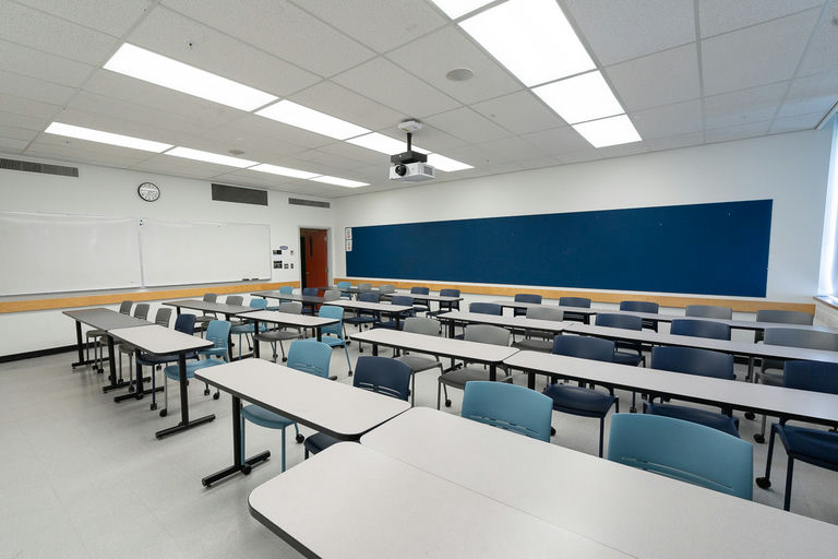 SCRF 203 - Image Gallery 4