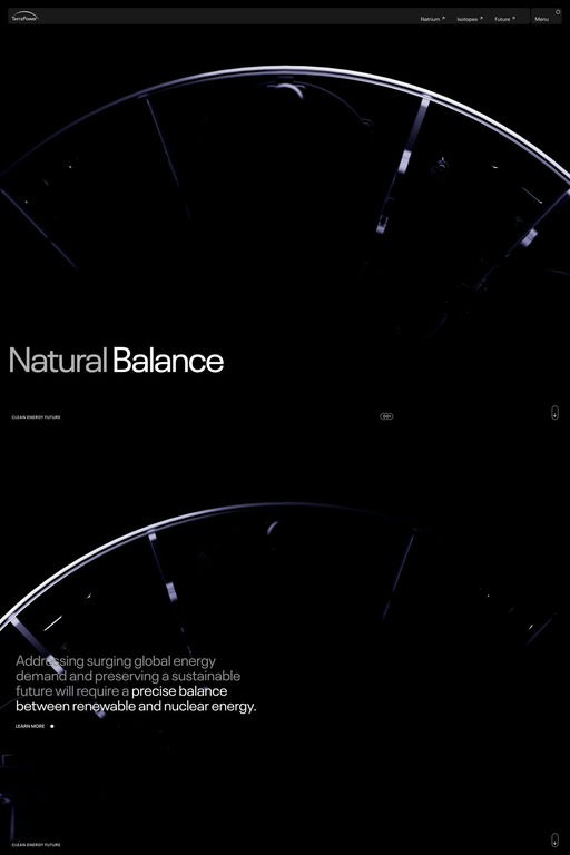 TerraPower website screenshot